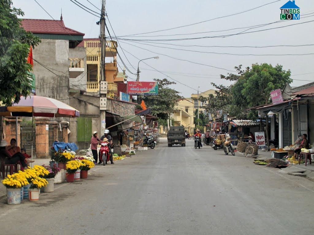 Hình ảnh Tứ Kỳ, Hải Phòng