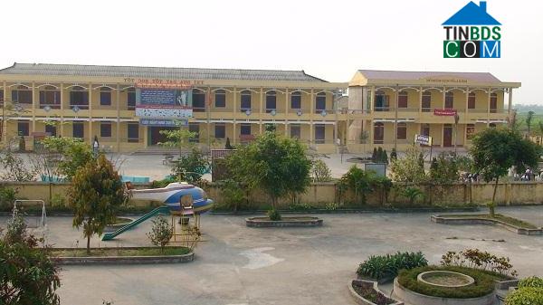 Hình ảnh Tuệ Tĩnh, Hải Phòng