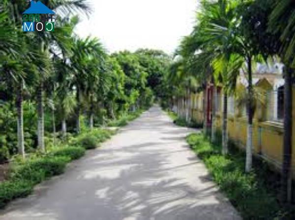 Hình ảnh An Quang, Hải Phòng