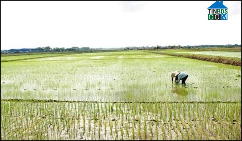 Hình ảnh Thượng Hồng, Hải Phòng