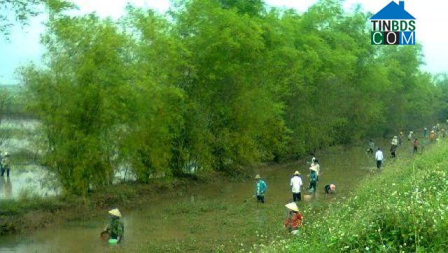 Hình ảnh Chí Minh, Hải Phòng