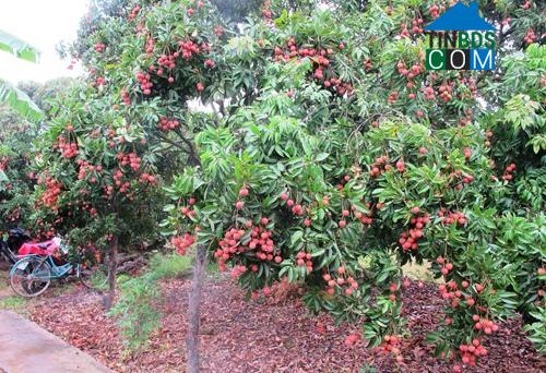 Hình ảnh Hà Nam, Hải Phòng