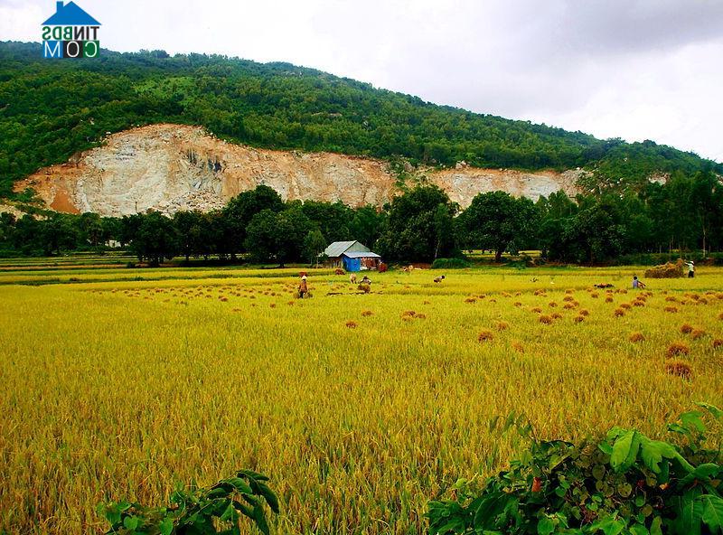 Hình ảnh Cô Tô, An Giang