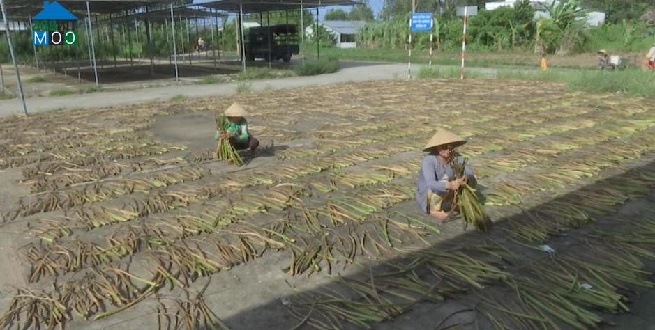 Hình ảnh Hòa Thuận, An Giang