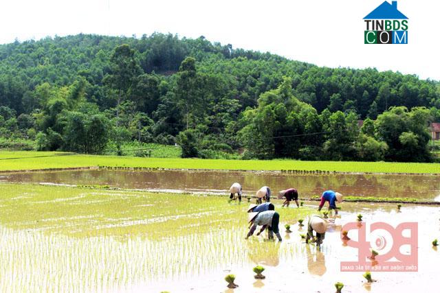 Hình ảnh An Lạc, Bắc Ninh