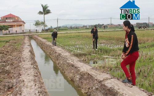 Hình ảnh Đồng Việt, Bắc Ninh