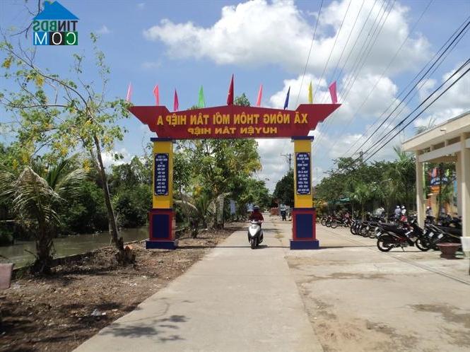 Hình ảnh Thạnh Đông, An Giang