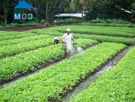 Hình ảnh Thạnh Lộc, An Giang