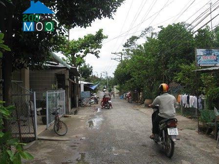 Hình ảnh Hòa Hưng, An Giang