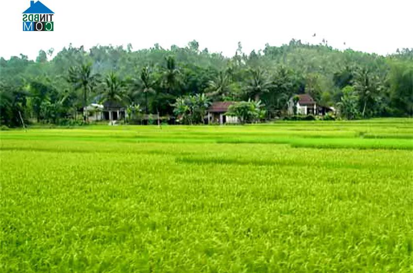 Hình ảnh Giang Thành, An Giang