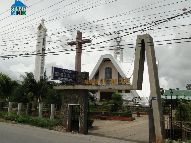 Hình ảnh Mỹ Thuận, An Giang