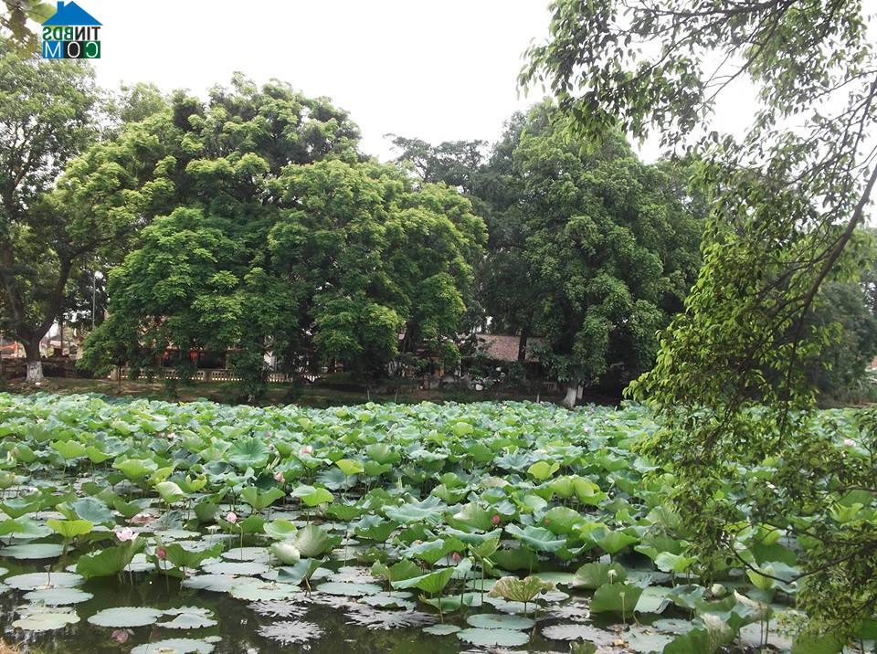 Hình ảnh Yên Trung, Bắc Ninh