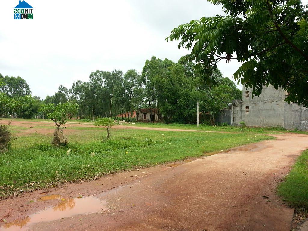 Hình ảnh Mỹ Thái, Bắc Ninh