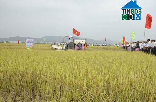 Hình ảnh Cảnh Thụy, Bắc Ninh