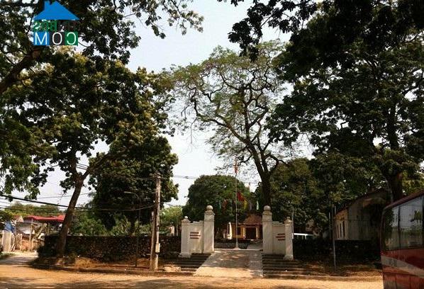 Hình ảnh Liên Bão, Bắc Ninh