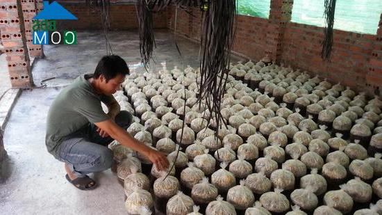 Hình ảnh Phật Tích, Bắc Ninh