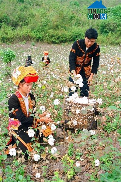 Hình ảnh Sa Lý, Bắc Ninh