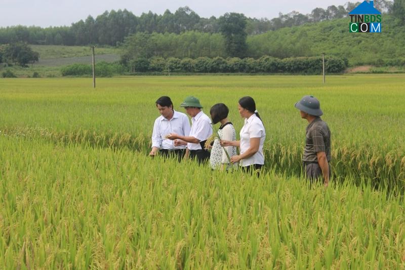 Hình ảnh Tam Tiến, Bắc Ninh