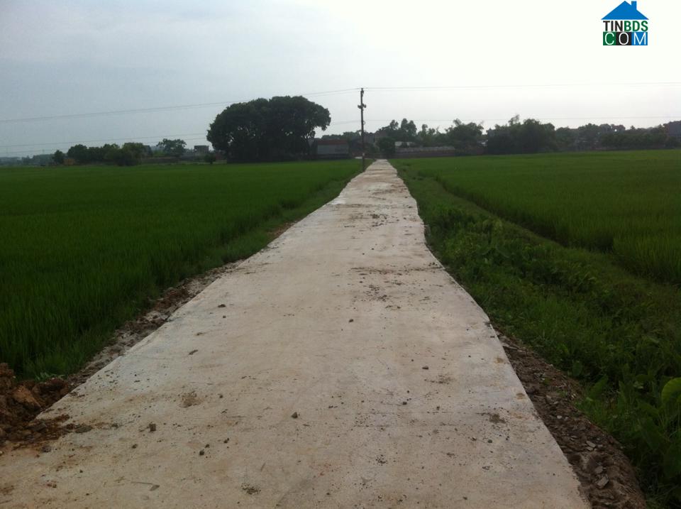 Hình ảnh Tự Lạn, Bắc Ninh