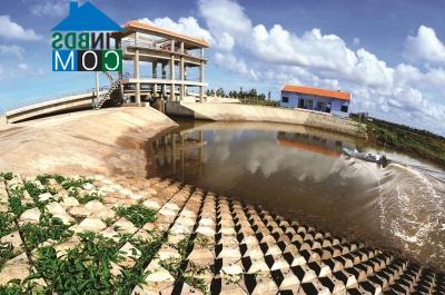 Hình ảnh U Minh, Cà Mau