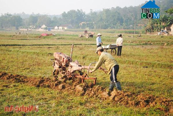 Hình ảnh Tam Đồng, Nghệ An