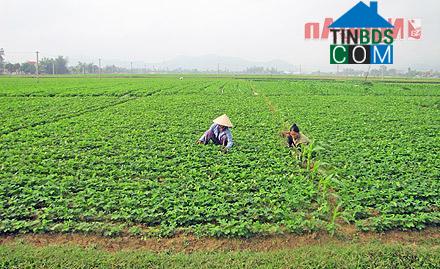 Hình ảnh Thần Lĩnh, Nghệ An