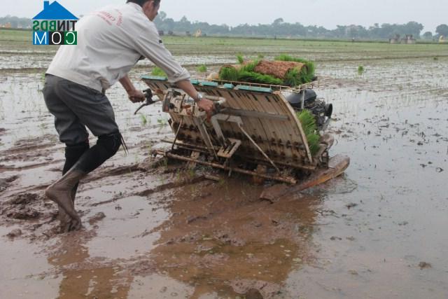 Hình ảnh Duy Tiên, Ninh Bình