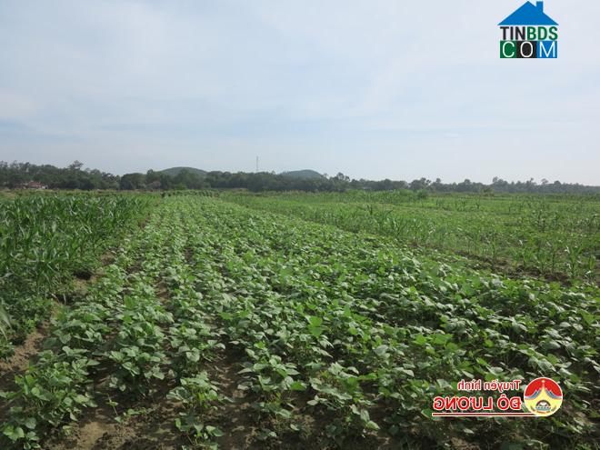 Hình ảnh Xuân Lâm, Nghệ An