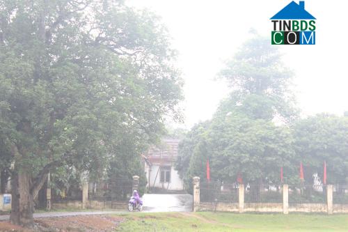 Hình ảnh Bích Hào, Nghệ An