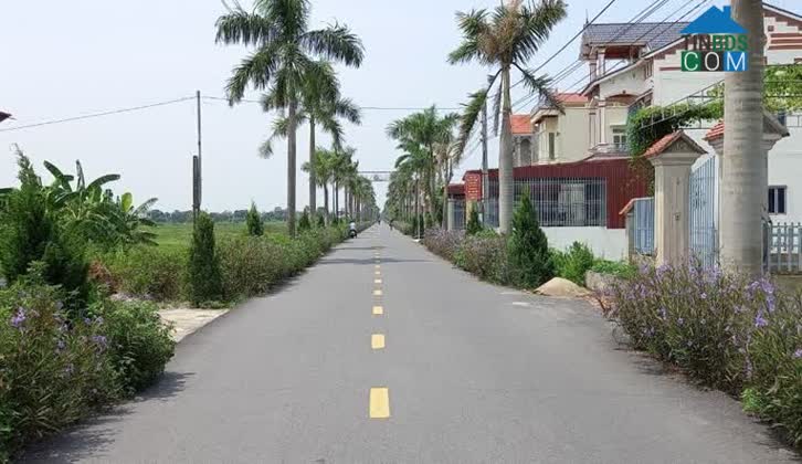 Hình ảnh Bình Mỹ, Ninh Bình