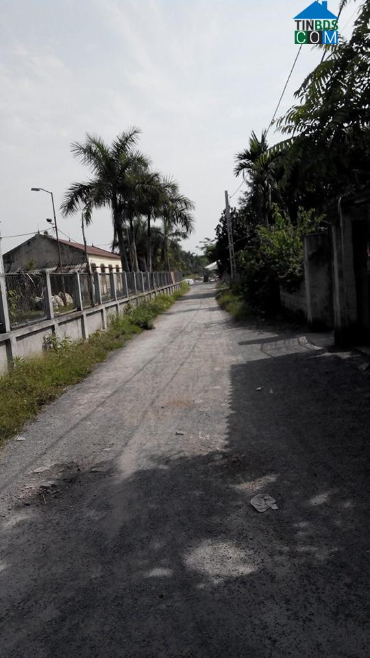 Hình ảnh Đông A, Ninh Bình