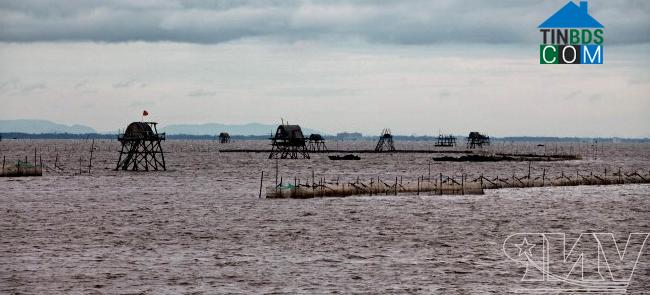 Hình ảnh Kim Đông, Ninh Bình