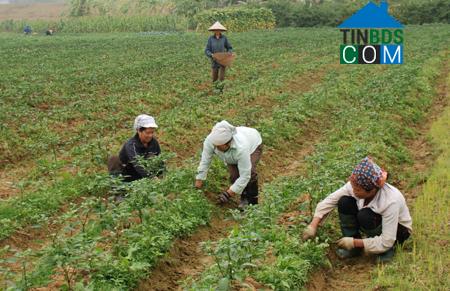 Hình ảnh Gia Viễn, Ninh Bình