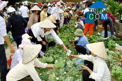 Hình ảnh Giao Hưng, Ninh Bình