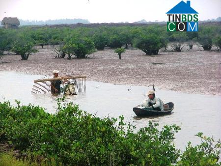 Hình ảnh Giao Phúc, Ninh Bình