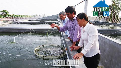 Hình ảnh Hải Quang, Ninh Bình