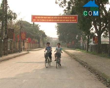 Hình ảnh Hoa Lư, Ninh Bình