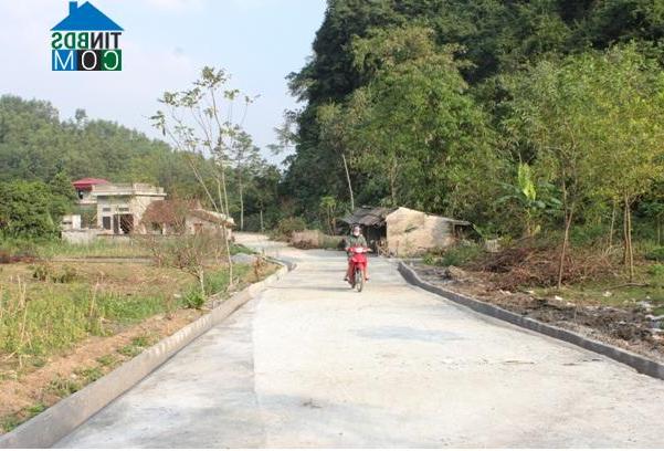 Hình ảnh Tam Chúc, Ninh Bình