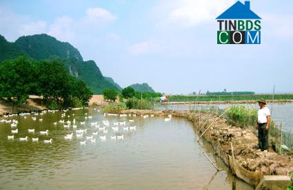 Hình ảnh Yên Sơn, Ninh Bình