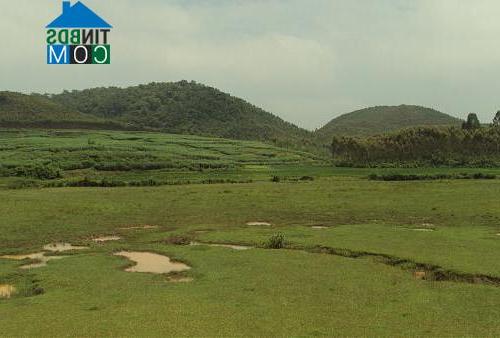 Hình ảnh Vạn Xuân, Phú Thọ