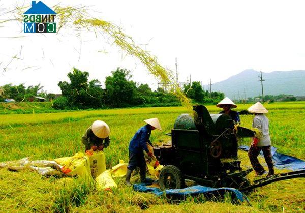 Hình ảnh Âu Cơ, Phú Thọ