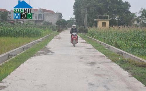 Hình ảnh Bản Nguyên, Phú Thọ