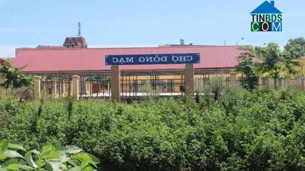 Hình ảnh Thiên Trường, Ninh Bình