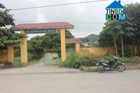 Hình ảnh Trung Sơn, Ninh Bình