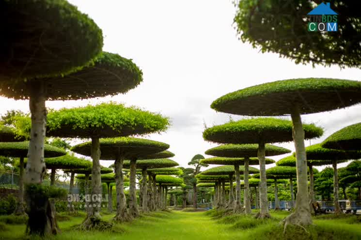 Hình ảnh Vị Khê, Ninh Bình