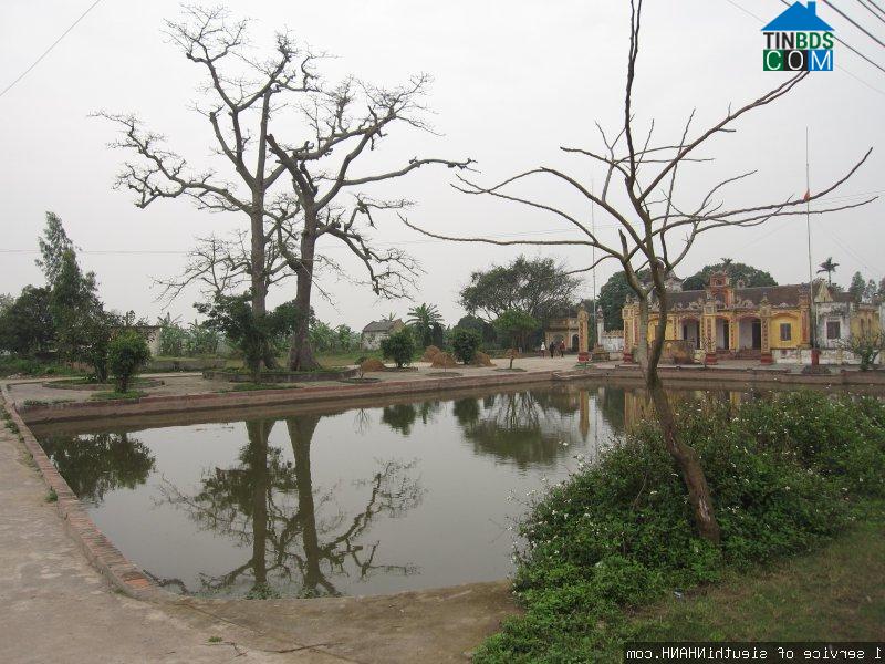 Hình ảnh Xuân Hồng, Ninh Bình