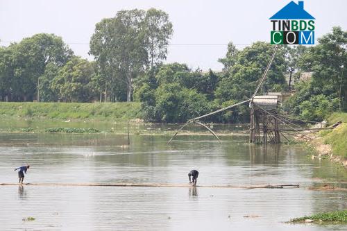 Hình ảnh Xuân Hưng, Ninh Bình
