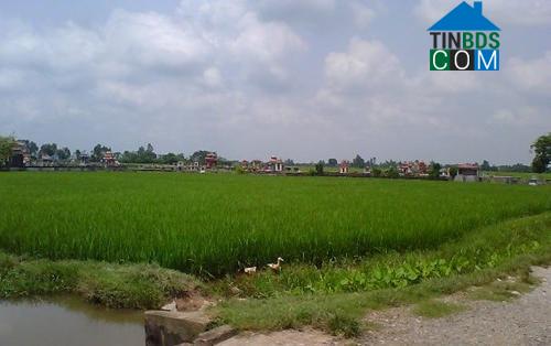 Hình ảnh Ý Yên, Ninh Bình