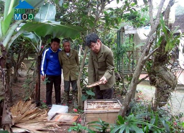 Hình ảnh Hợp Lý, Phú Thọ