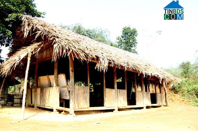 Hình ảnh Hương Cần, Phú Thọ